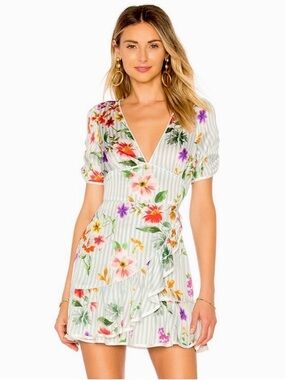 Tularosa Revolve Light Blue Striped Floral Barb Mini Dress